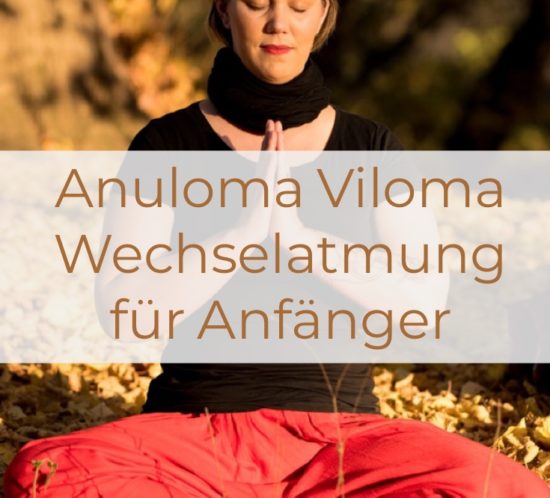 Anuloma Viloma, Wechselatmung, fuer Anfaenger