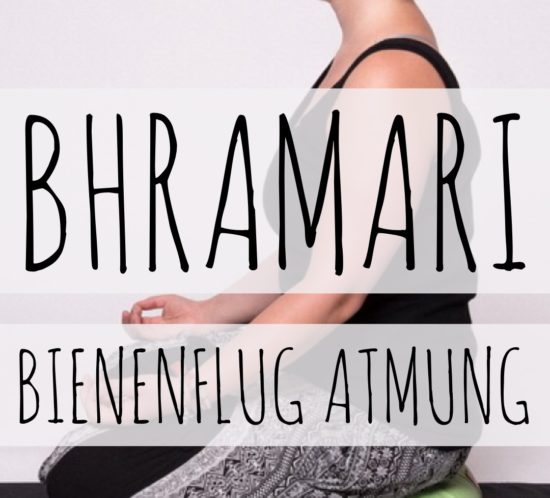 bhramari, bienenflug, bienen, hummel, atmung, pranayama, atemtechnik
